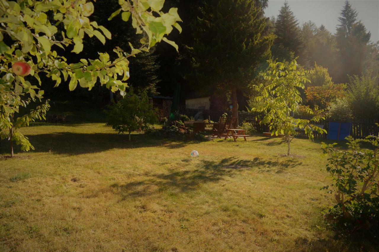 Deine Ferienwohnung Falkenstein  ภายนอก รูปภาพ