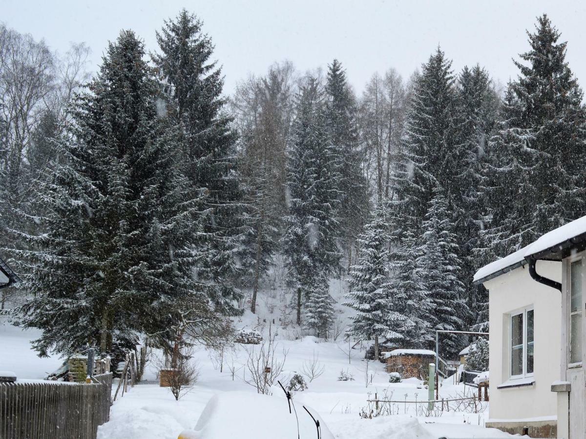 Deine Ferienwohnung Falkenstein  ภายนอก รูปภาพ